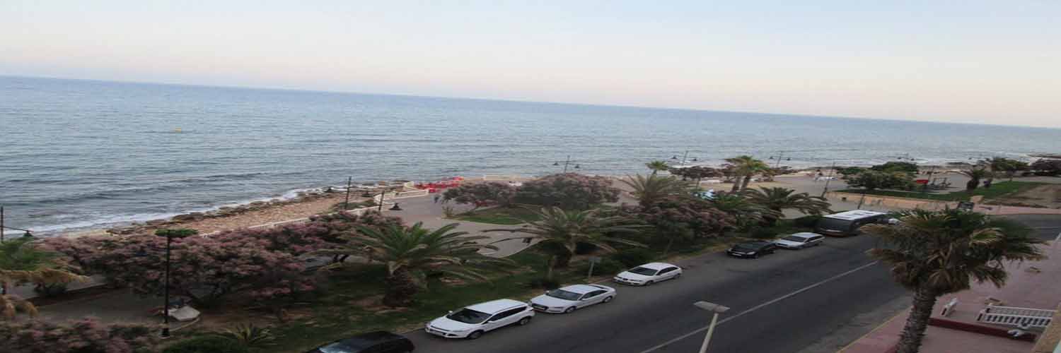 Torrevieja Real Estate